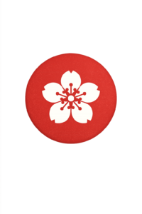 standard-shotokan-kata